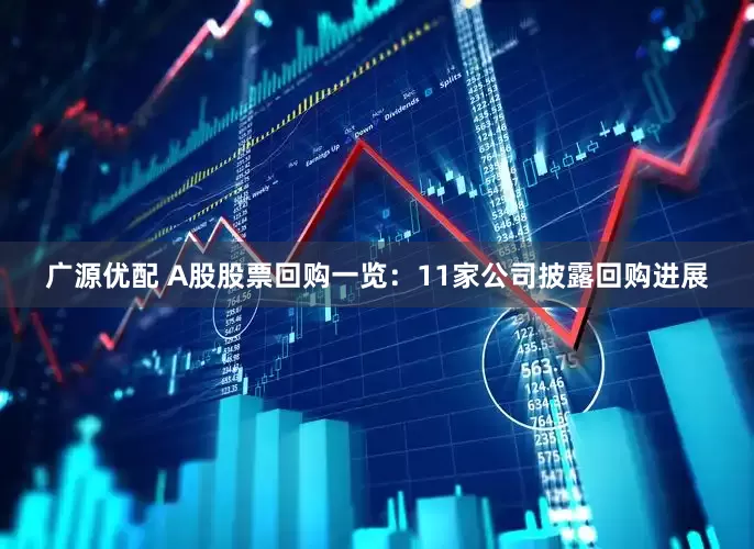 广源优配 A股股票回购一览：11家公司披露回购进展