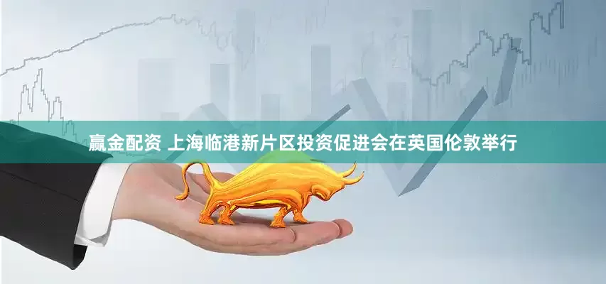 赢金配资 上海临港新片区投资促进会在英国伦敦举行